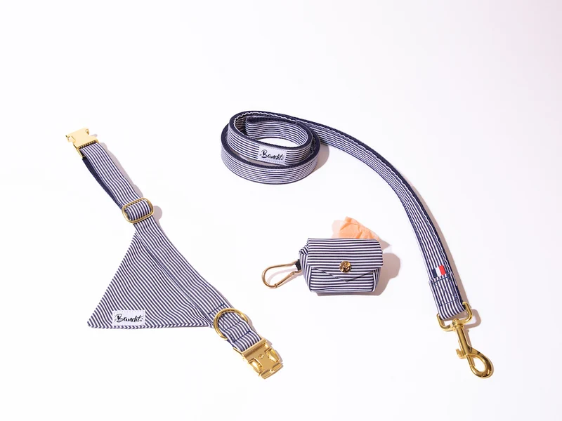 Kit Bandana + Laisse + Pochette sacs à crottes