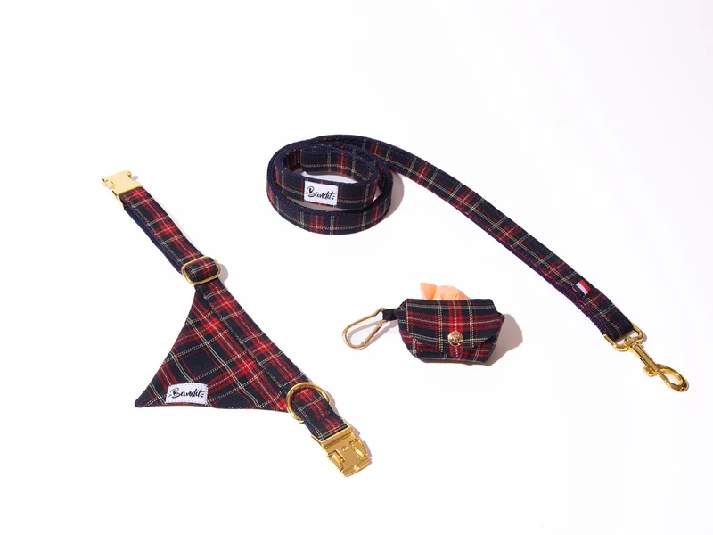Kit Bandana + Laisse + Pochette sacs à crottes