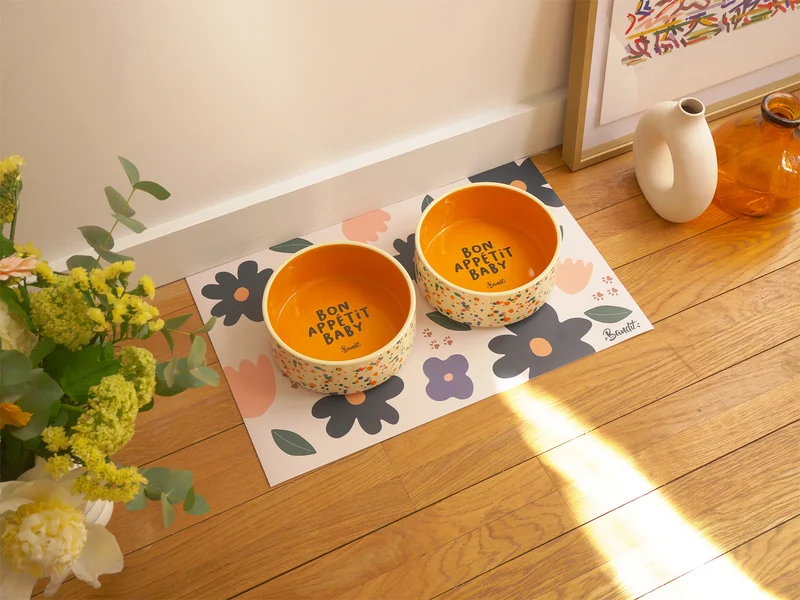 2 gamelles + 1 tapis au choix