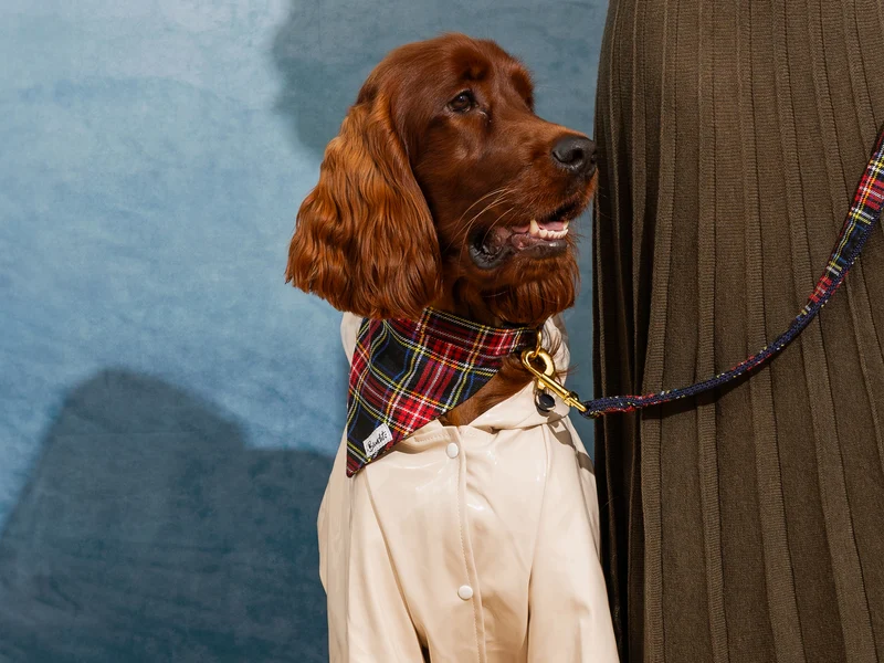 Bandana pour chien tartan
