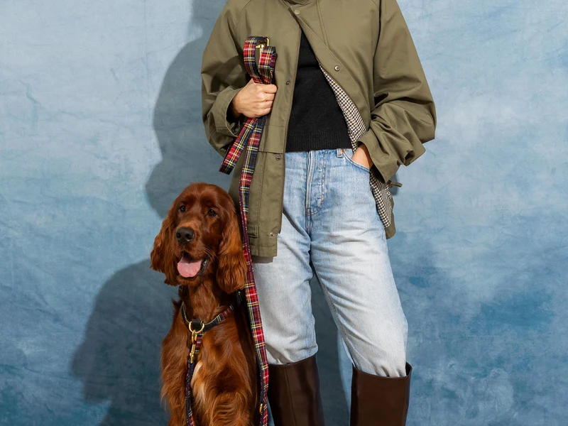 Laisse 4 position chien tartan