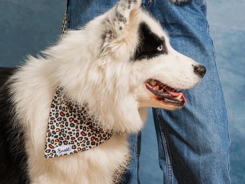 Bandana pour chien motif léopard