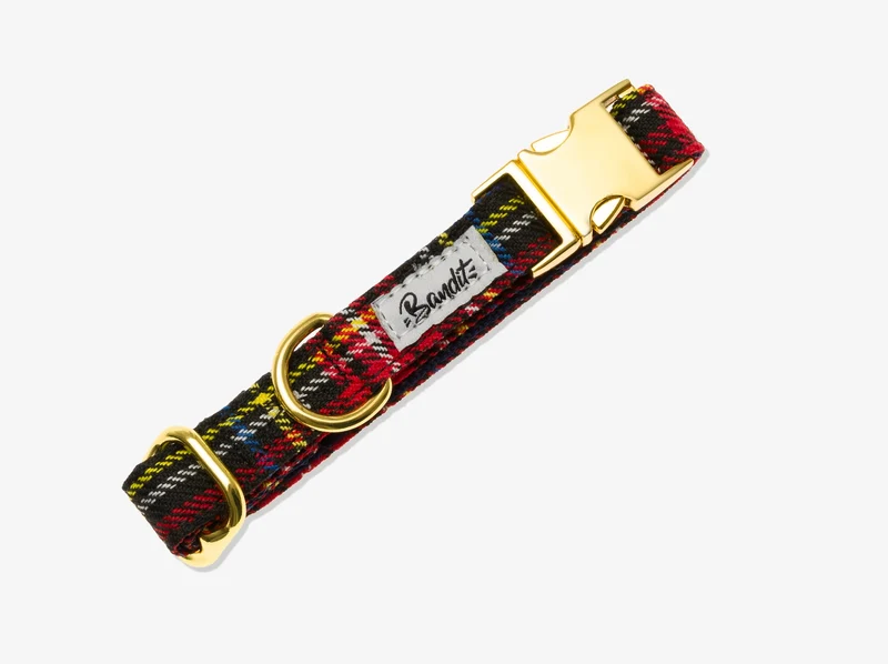 Collier pour chien tartan