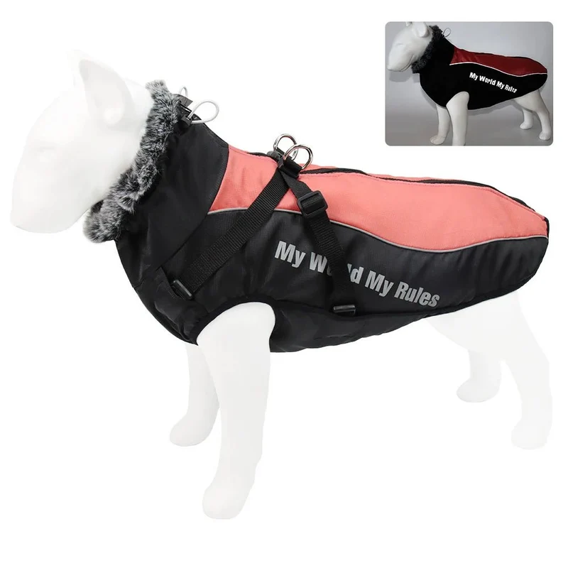 Harnais gros chien hiver
