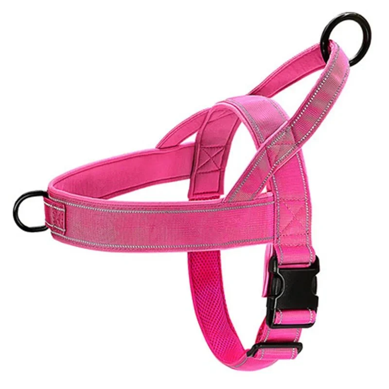 Harnais poitrail pour gros chien