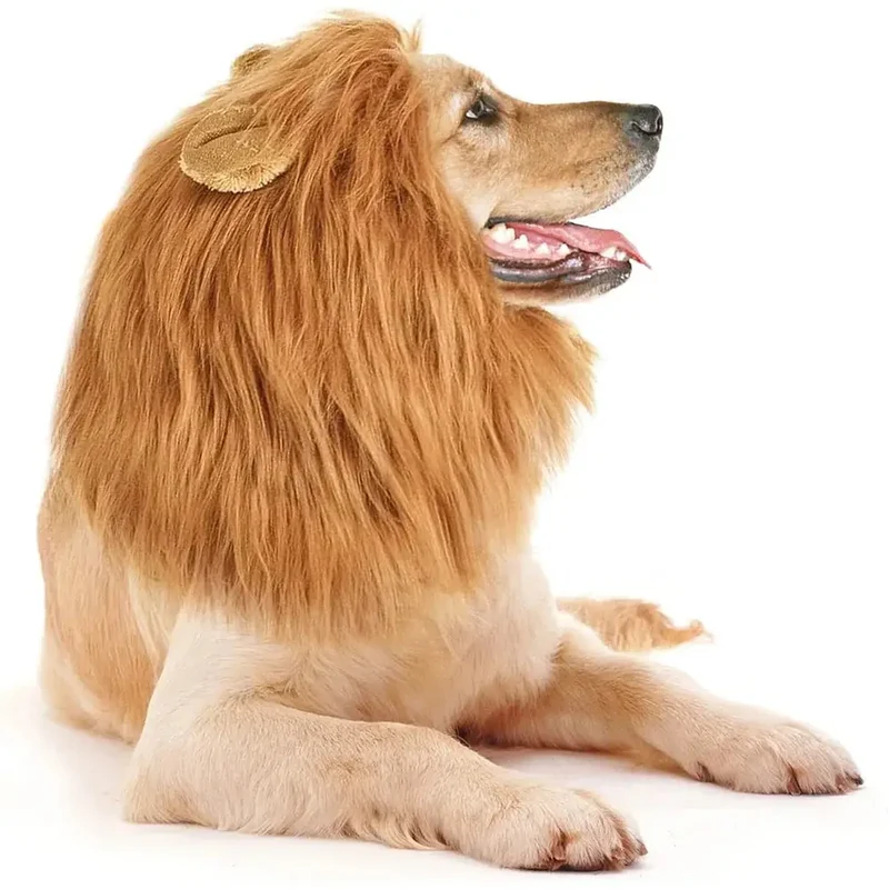 Crinière de Lion pour chien