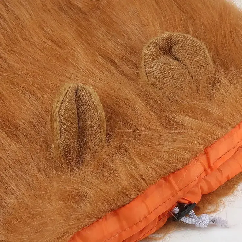 Crinière de Lion pour chien