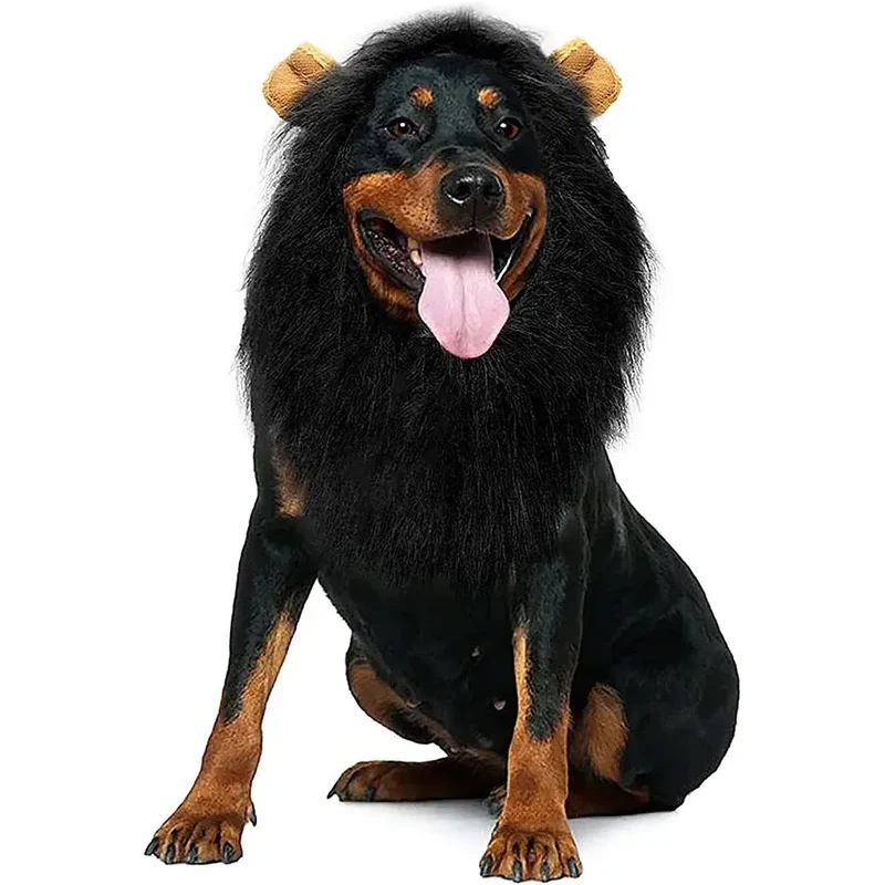 Crinière de Lion pour chien