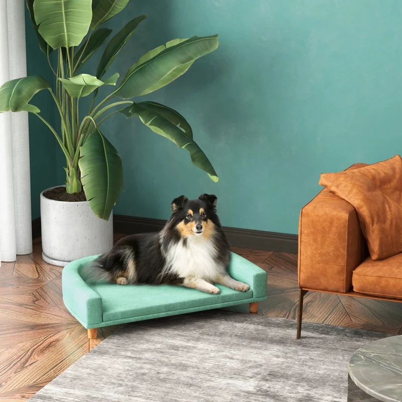 Canapé lavable pour chien
