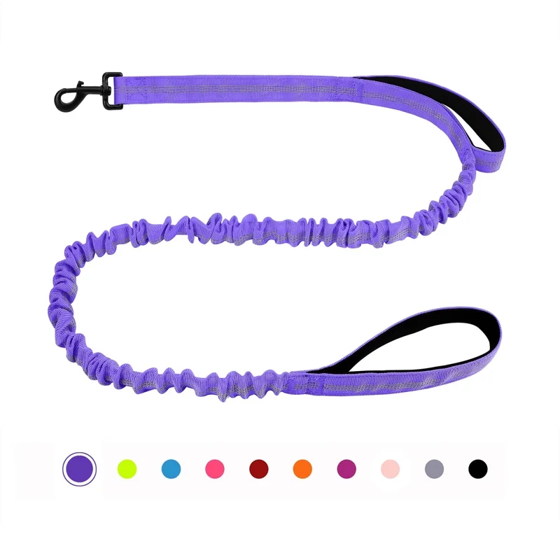 Laisse canicross petit chien