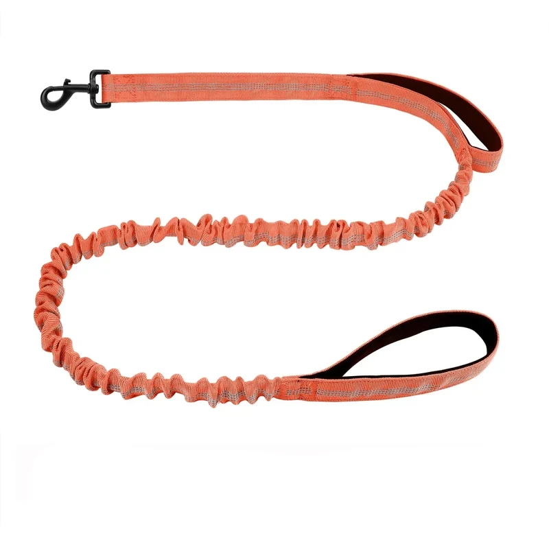 Laisse canicross petit chien