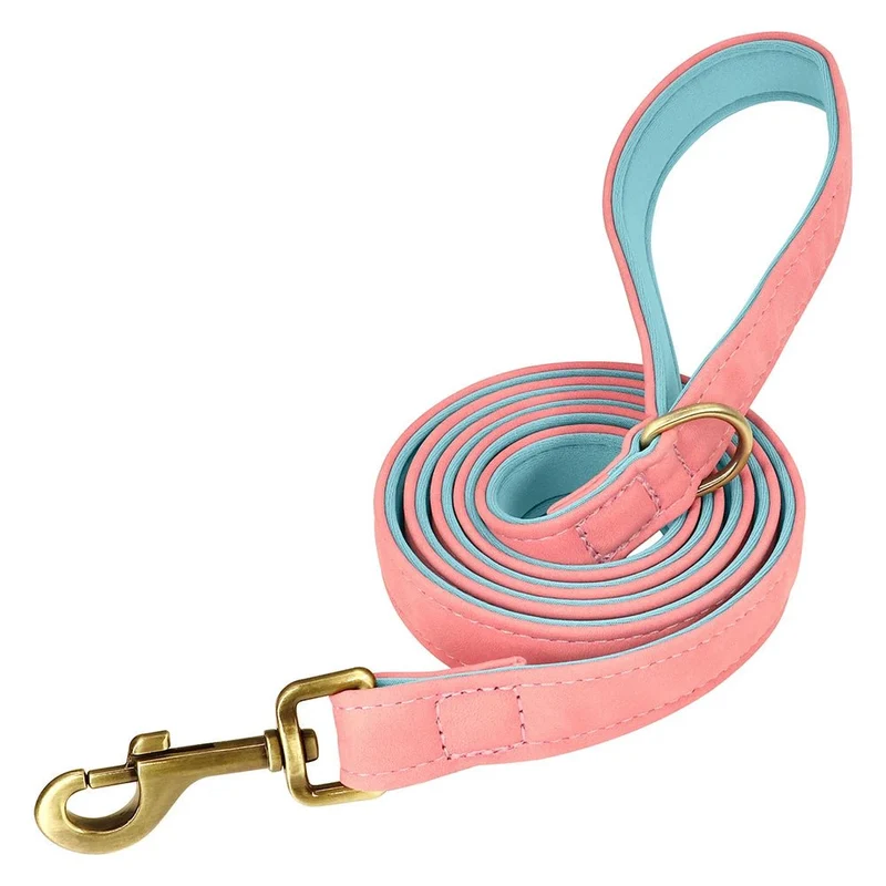 Laisse pour chiot chihuahua