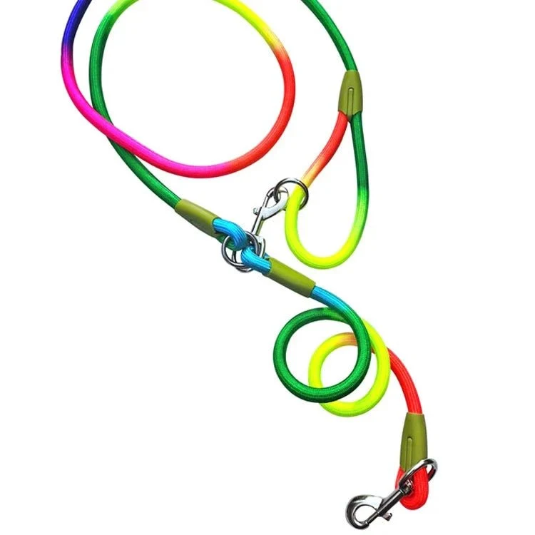 Laisse lasso pour chiot