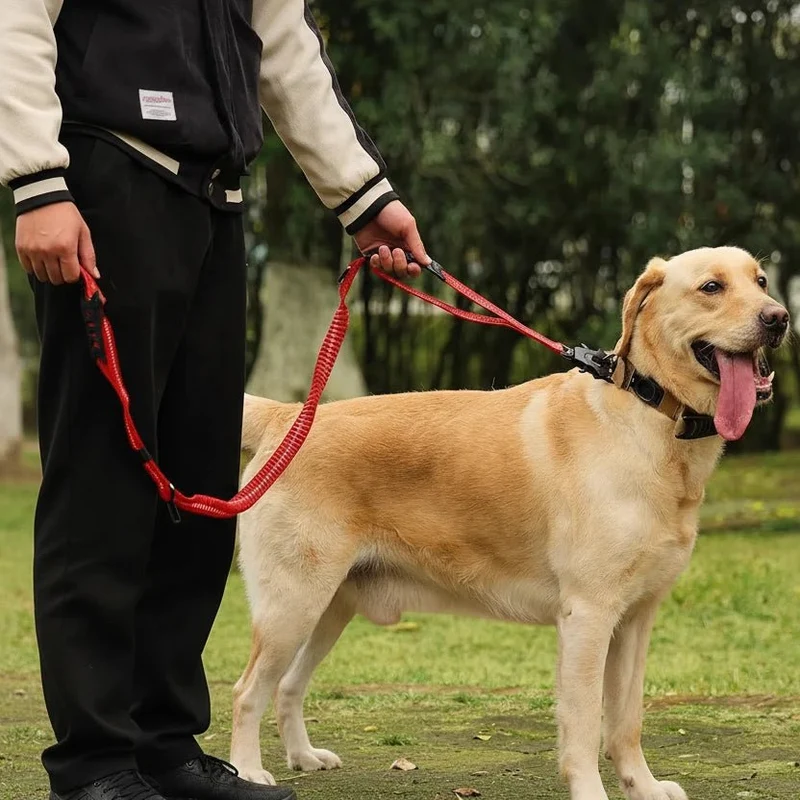 Laisse pour chien indestructible