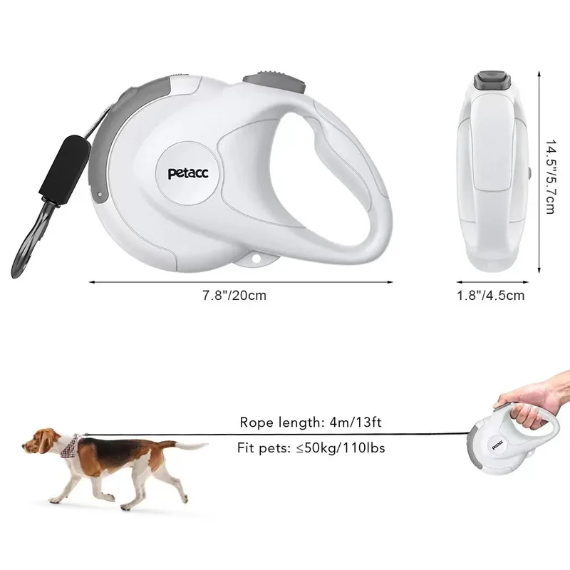 Laisse pour chiot labrador