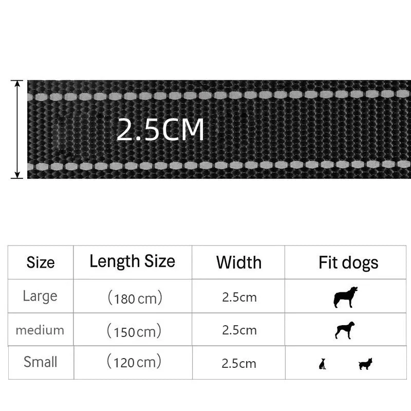 Laisse pour chien puissant