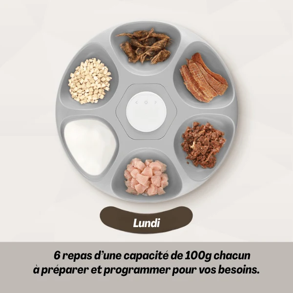Gamelle chat automatique connectée - BowlPro 600™ : wifi 6 repas