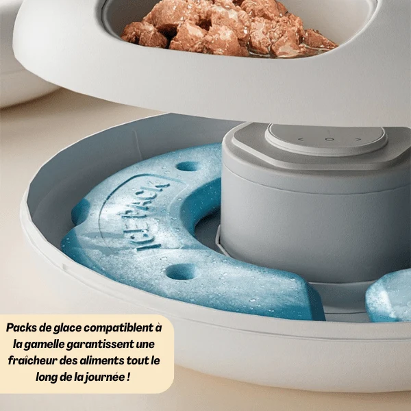 Gamelle chat automatique connectée - BowlPro 600™ : wifi 6 repas