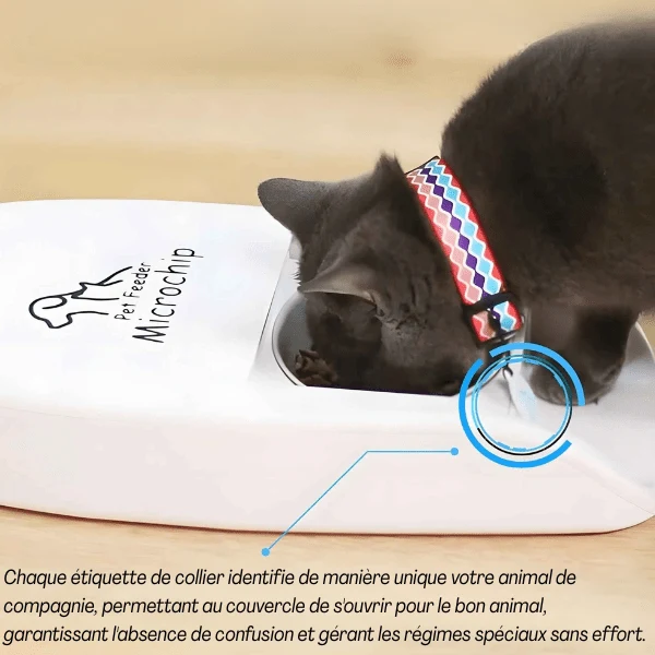 Gamelle chat automatique puce - Feeder PuceTech™ : RFID sans fil