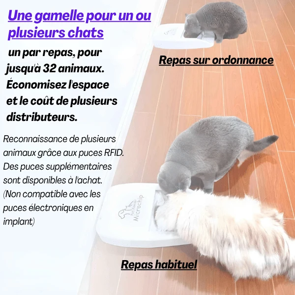 Gamelle chat automatique puce - Feeder PuceTech™ : RFID sans fil