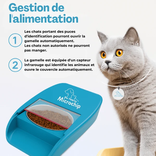 Gamelle chat automatique puce - Feeder PuceTech™ : RFID sans fil