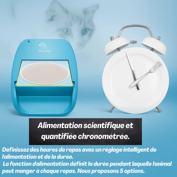 Gamelle chat automatique puce - Feeder PuceTech™ : RFID sans fil