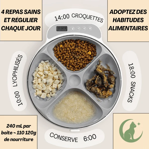 Gamelle automatique chat – sans fil programmable – FéliFeeder™