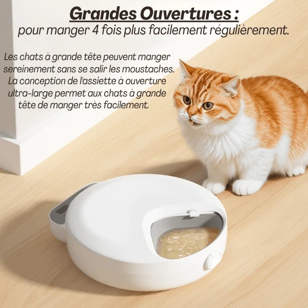 Gamelle automatique chat – sans fil programmable – FéliFeeder™