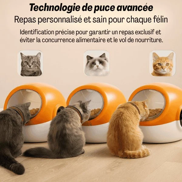 Gamelle automatique chat puce - CrocTech Edition™ : multifonction