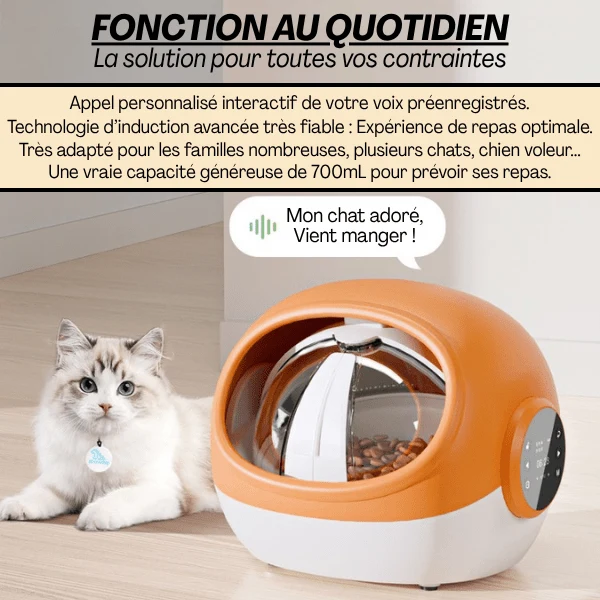 Gamelle automatique chat puce - CrocTech Edition™ : multifonction