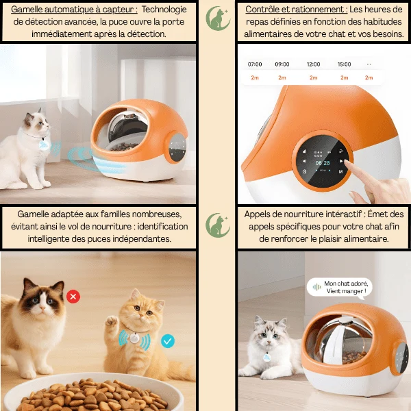Gamelle automatique chat puce - CrocTech Edition™ : multifonction