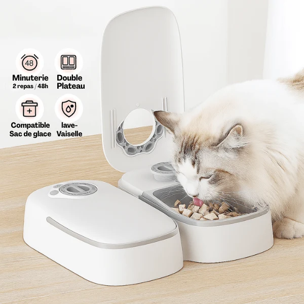 Gamelle automatique chat - Minute-Croq™ : minuterie sans fil