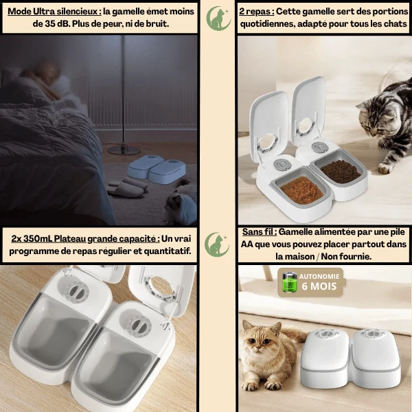 Gamelle automatique chat - Minute-Croq™ : minuterie sans fil