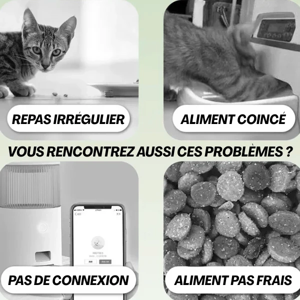 Gamelle automatique chat - Minute-Croq™ : minuterie sans fil
