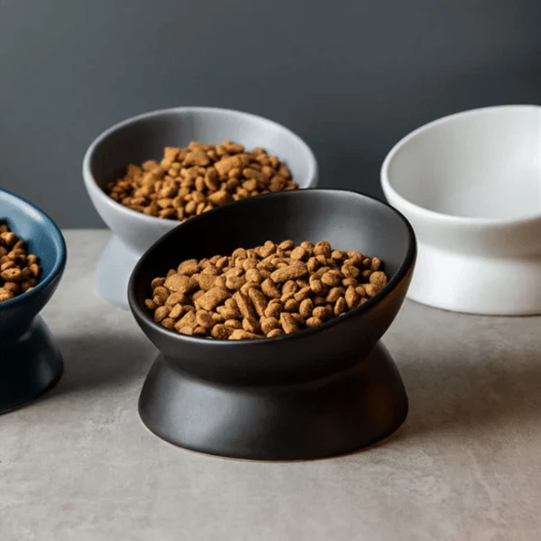 Gamelle chat surélevée inclinée - BowlMagic™ : céramique et digestion
