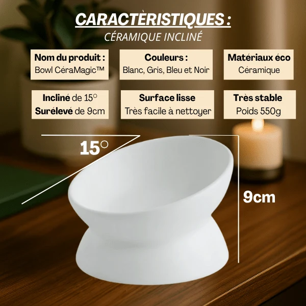 Gamelle chat surélevée inclinée - BowlMagic™ : céramique et digestion