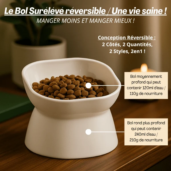 Gamelle chat surélevée 2 en 1 - Bol Purrfect™ : double bol