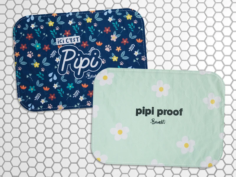Lot de 2 tapis de propreté