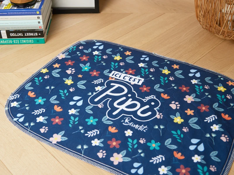 Lot de 2 tapis de propreté