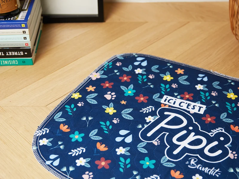 Lot de 2 tapis de propreté
