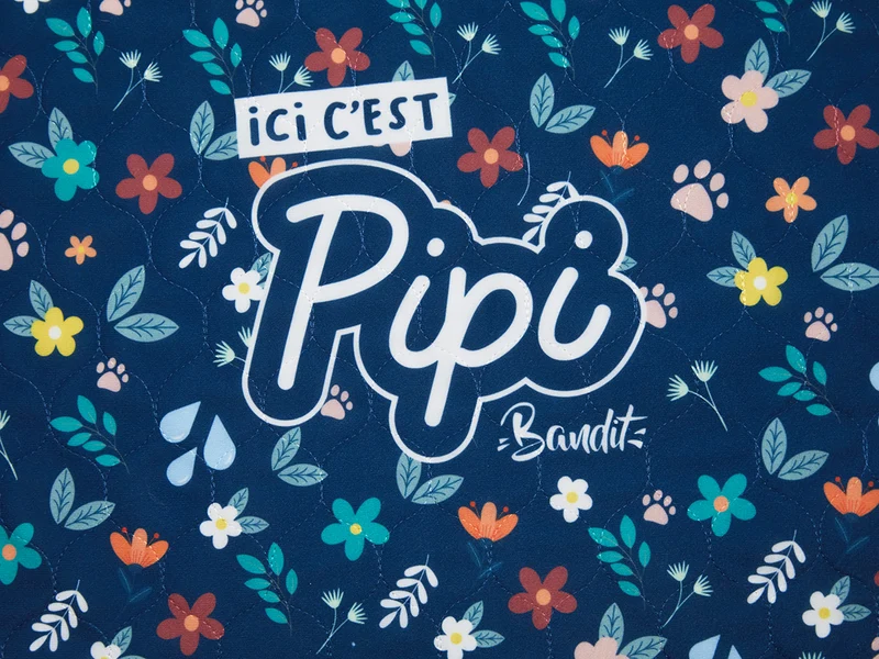 Lot de 2 tapis de propreté