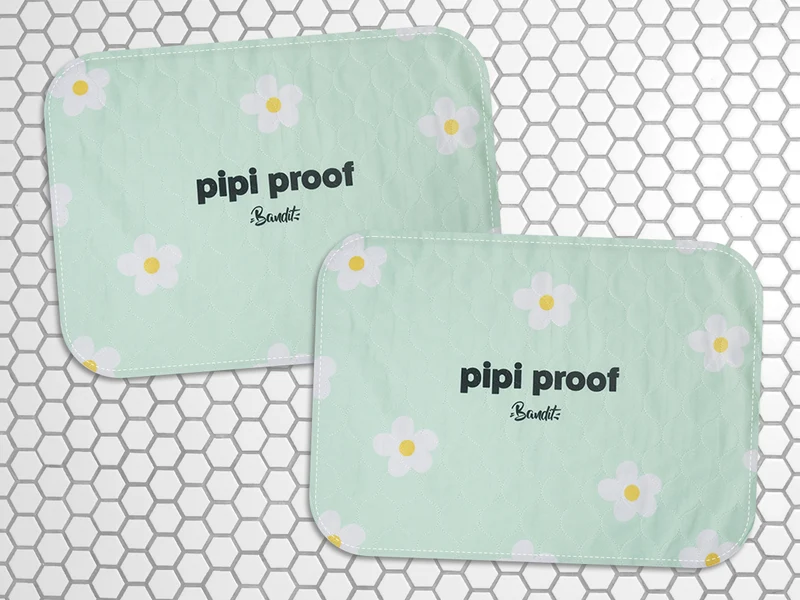 Lot de 2 tapis de propreté