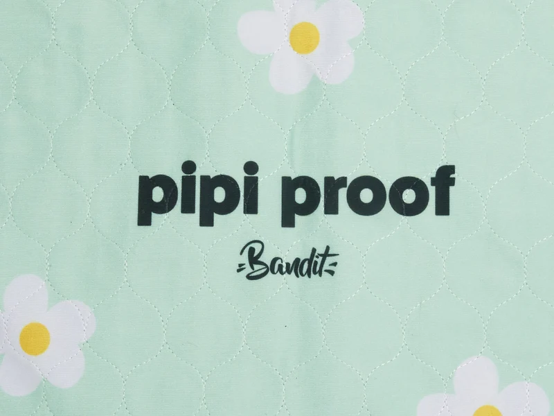 Lot de 2 tapis de propreté