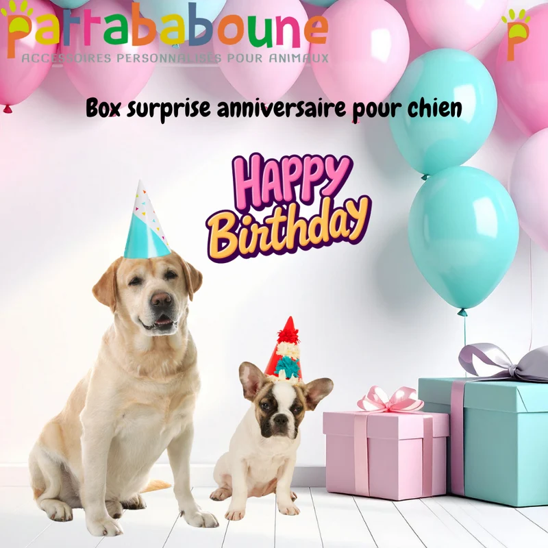 Box surprise anniversaire pour chien | Pattababoune