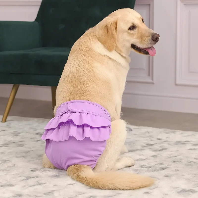 Culotte menstruelle pour chienne