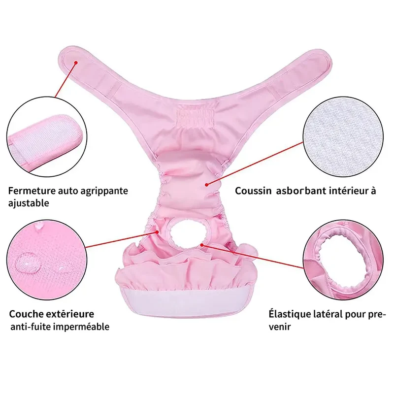 Culotte menstruelle pour chienne