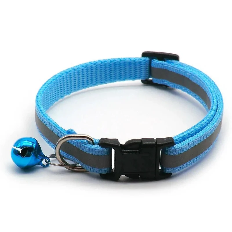 Collier chiot 4 mois
