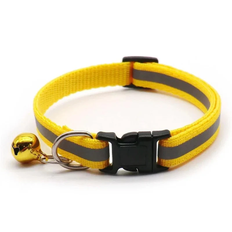 Collier chiot 4 mois