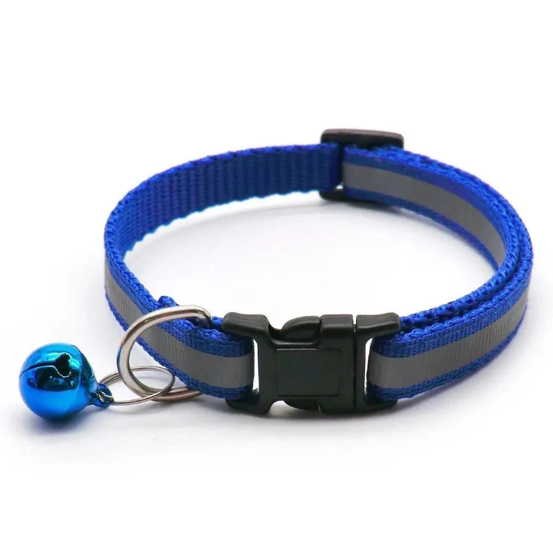 Collier chiot 4 mois