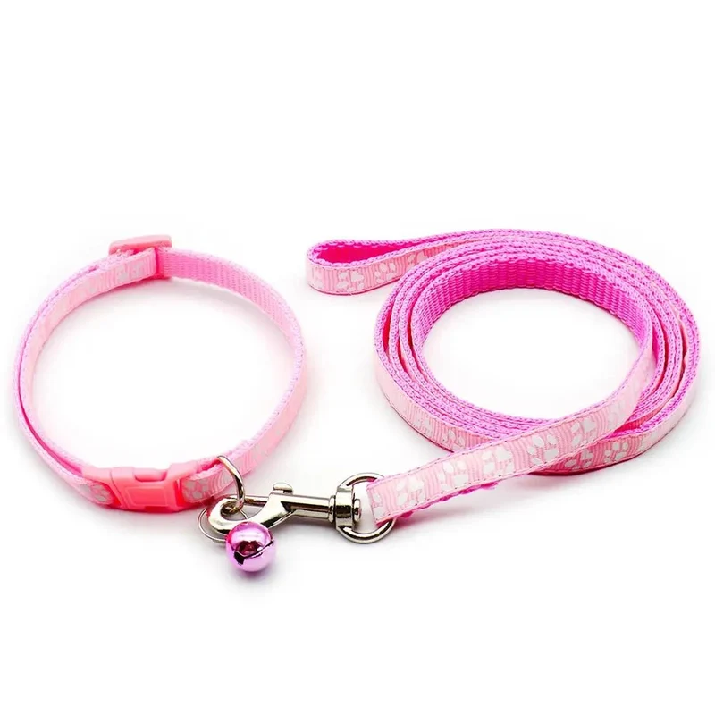 Laisse collier chiot